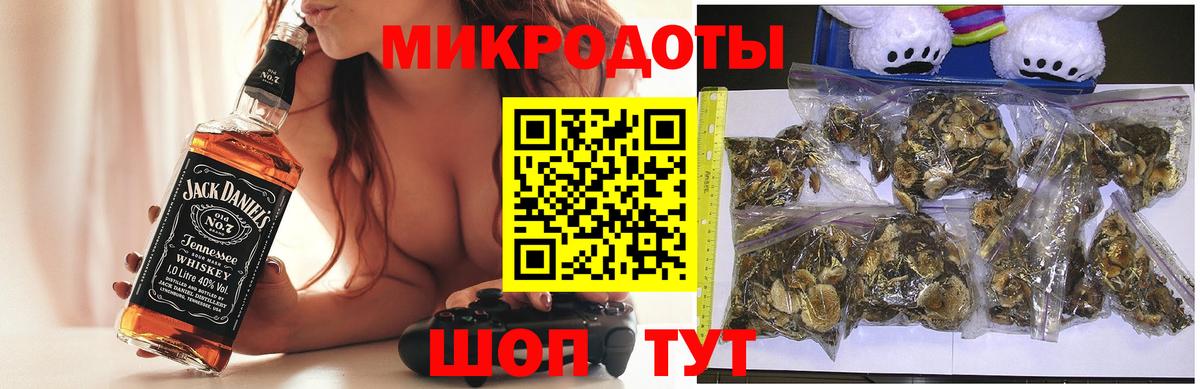 Псилоцибиновые грибы ЛСД  Вход с VPN  Камышлов 
